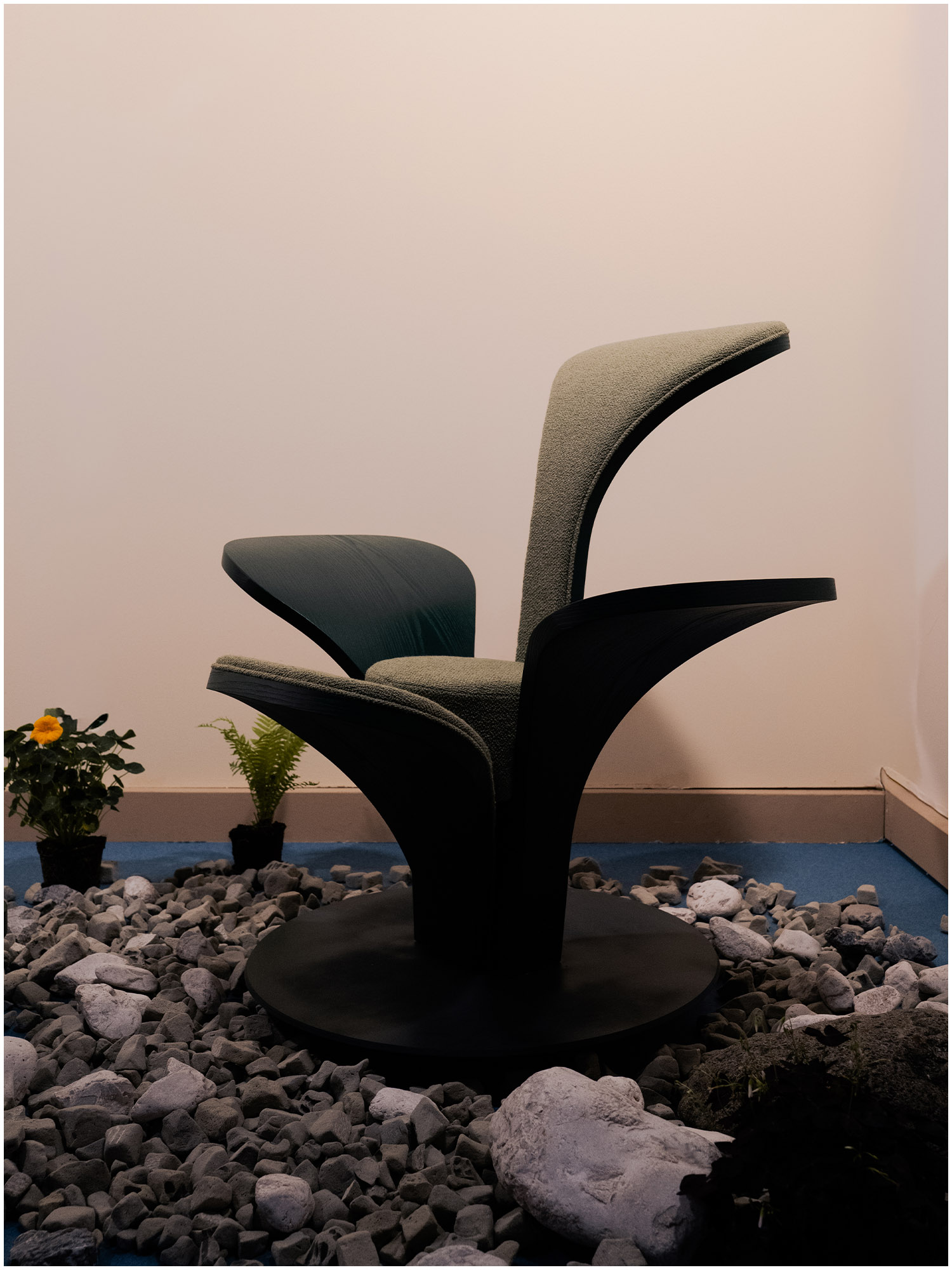 salonesatellite1
